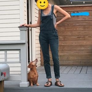 Free People Denim Overalls 24